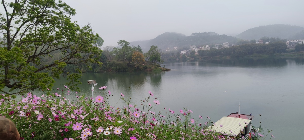 封开大洲龙皇岛码头