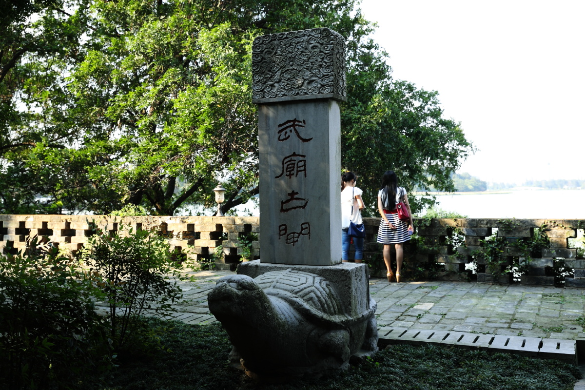 想拍后面的美女的。看着身材还行，不知道脸长的怎么样。发现近视眼的好处是看女生都是美妇，举起拍完再看的时候使劲的怀疑自己的审美。