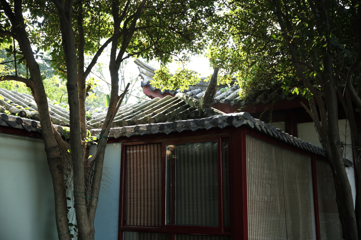 第一次进这个地方。感觉玄武湖有点神秘，好多地方我竟然都是第一次去。里面还住着人。我拍的时候有炒菜。