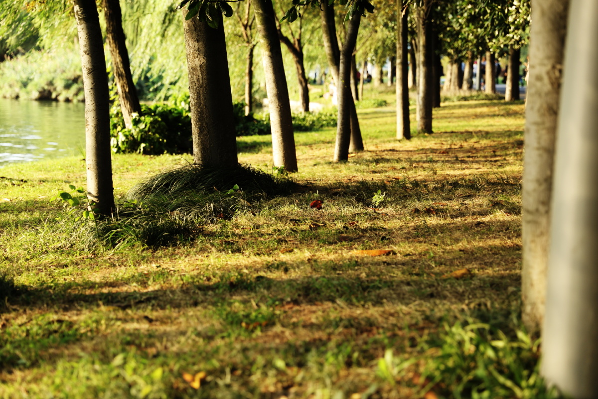 想拍一种层次感。尝试了很多种构图。