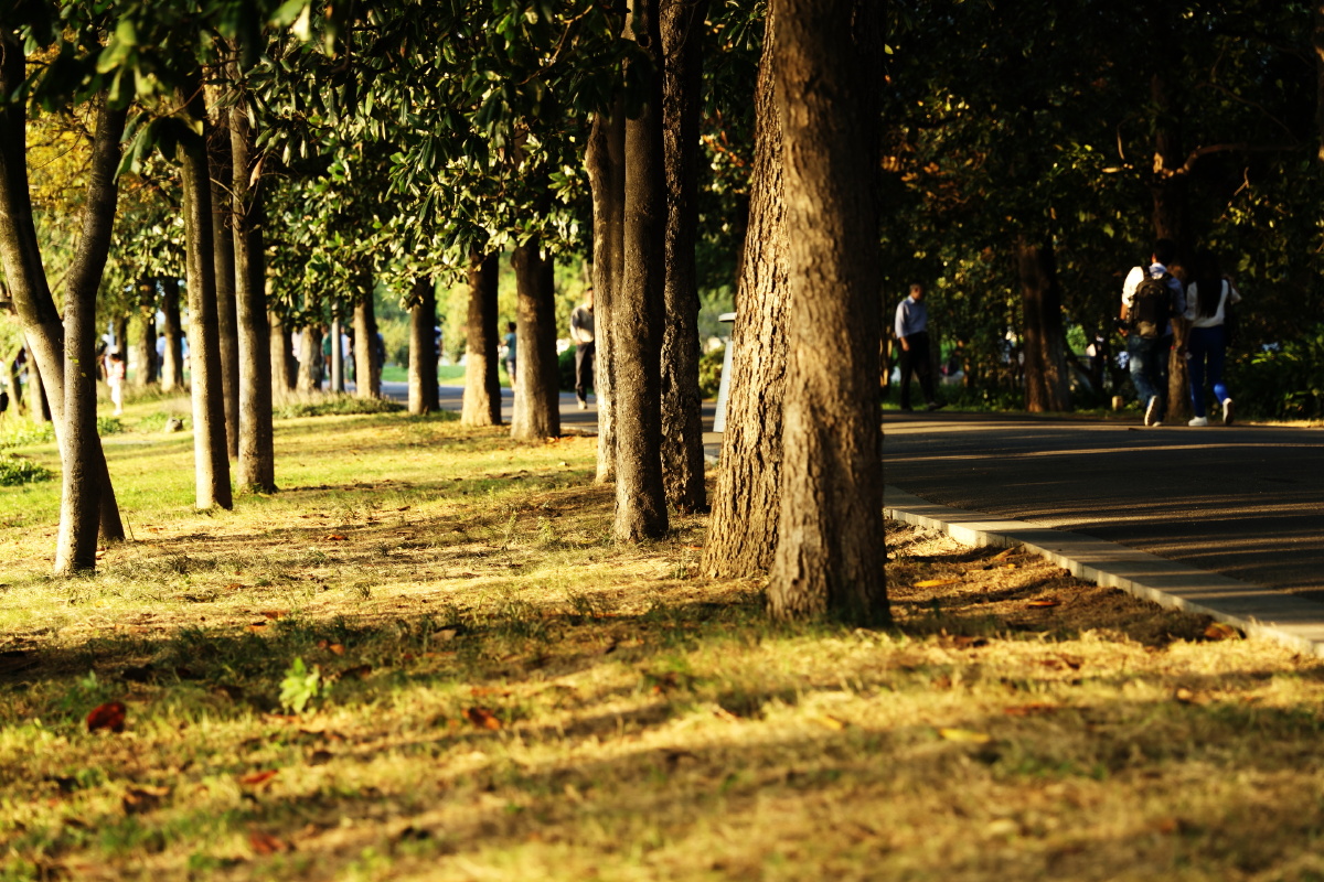想拍一种层次感。