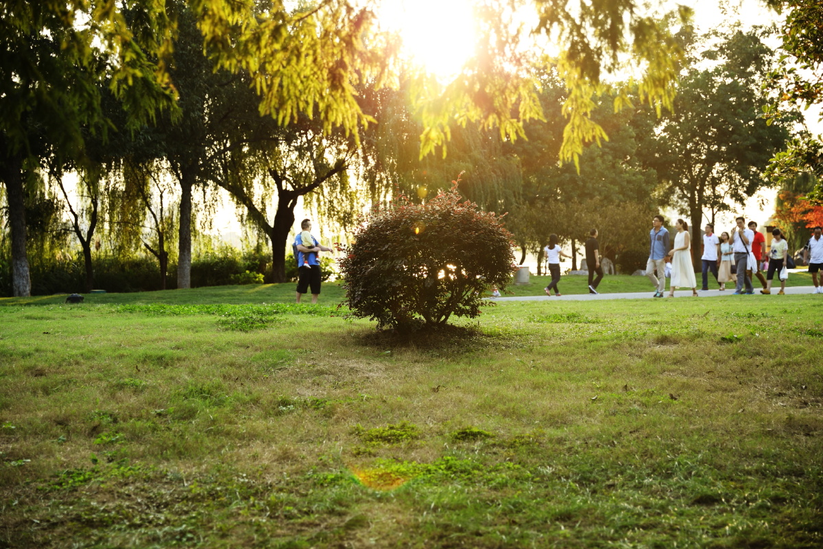 想拍逆光的那种感觉。