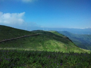 PIC_20140908_103717_142