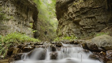 _DSC7498