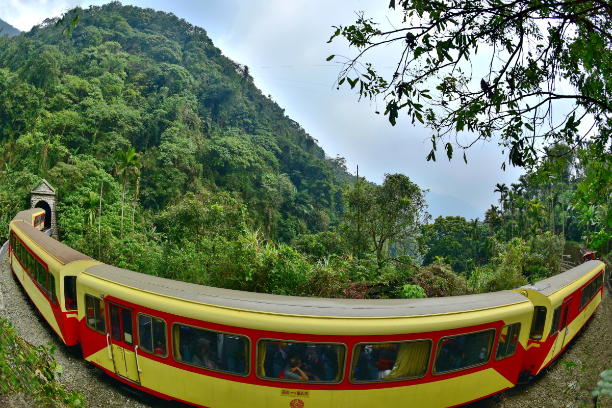 弯弯的阿里山小火车