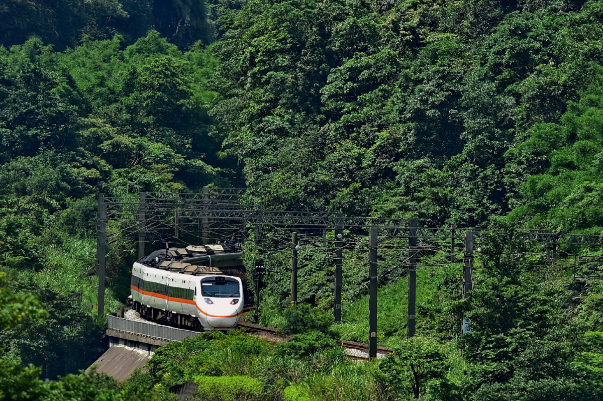 冲出草丛中的白蟒蛇! - 色彩, 尼康, 铁路, 台湾, 
