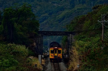 DSC_3122-1