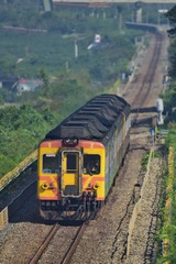 DSC_4203-1