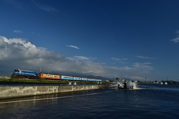 DSC_3975-1