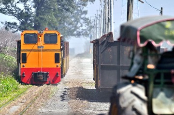 DSC_3590-1