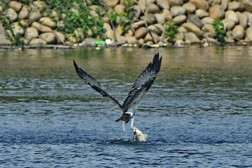 DSC_5475-2