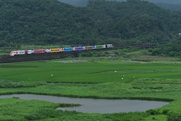 DSC_5000-1