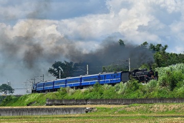 DSC_2686-1