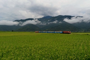 DSC_9223-2