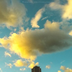 IMG_0511-