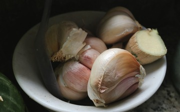 IMG_0558-