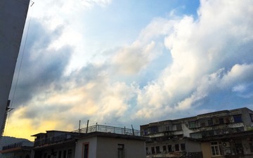 IMG_0593-