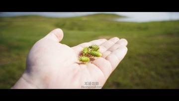 DSC02476副本.jpg
