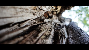 DSC02488副本.jpg