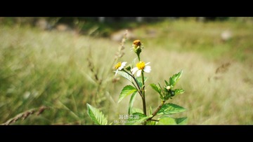 DSC02481副本.jpg