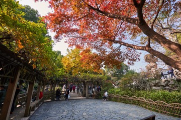 102109