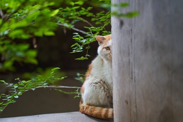 97358