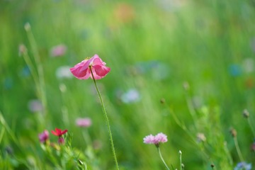 20160702-DSC01143