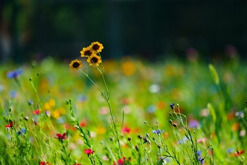 20160702-DSC01134