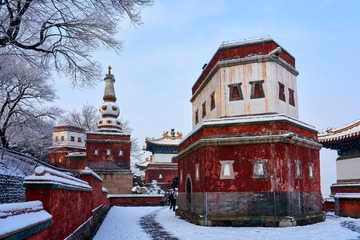 36658