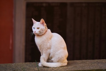 13624