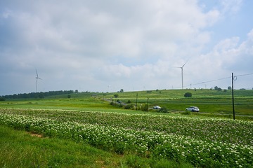 714337