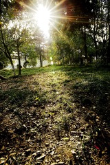 _HEW1332