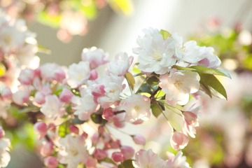 IMG_3761.jpg