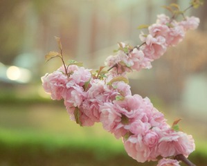 IMG_3776.jpg