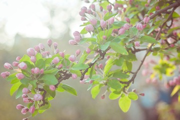 IMG_3770.jpg