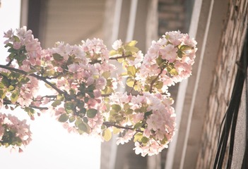 IMG_3771.jpg