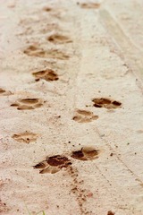 nEO_IMG_IMG_1645.jpg
