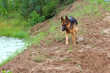 nEO_IMG_IMG_1648.jpg