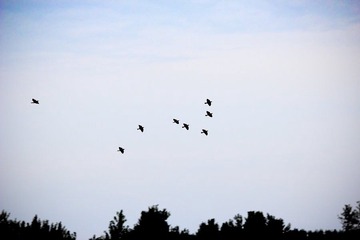nEO_IMG_IMG_1752.jpg