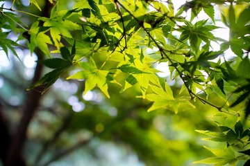 nEO_IMG_IMG_2668.jpg