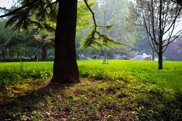 nEO_IMG_IMG_2670.jpg