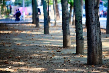 nEO_IMG_IMG_0121.jpg