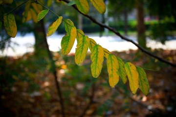 nEO_IMG_IMG_0832.jpg