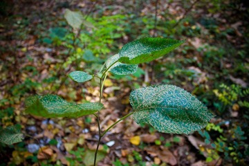 nEO_IMG_IMG_0843.jpg