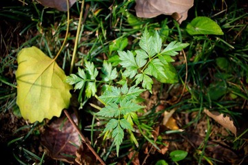 nEO_IMG_IMG_0852.jpg