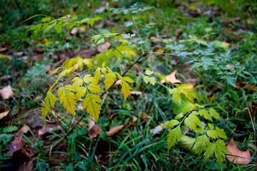 nEO_IMG_IMG_0853.jpg