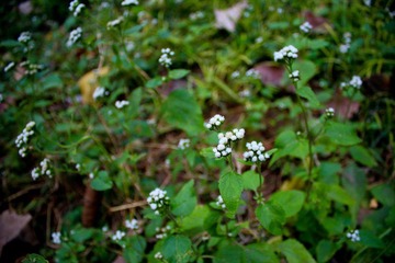 nEO_IMG_IMG_0855.jpg