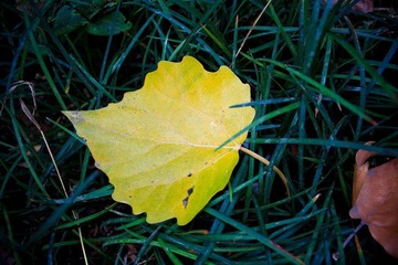nEO_IMG_IMG_0856.jpg