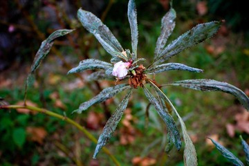 nEO_IMG_IMG_0857.jpg