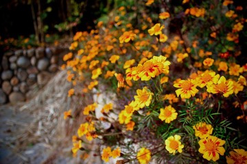 nEO_IMG_IMG_0883.jpg